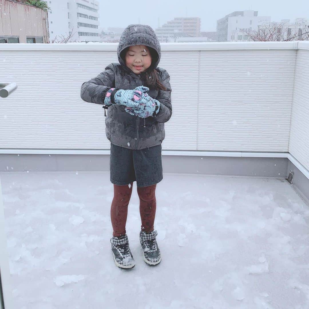 korokoronyaさんのインスタグラム写真 - (korokoronyaInstagram)「❄︎*∗ 12 Jan, 2021  Memories of 8 years old. March, 2020❄️ Due to the influence of the COVID-19, We could hardly go out and could not take a picture of her memories😔😢 * コロナで殆どお出かけしてないから 8歳の思い出写真、 全然撮れなかったな😔😢 見返すと家の中の写真ばかり。 …でも、今日まで元気に 生きてくれてる事が一番ですね。 写真は去年3月29日撮影❄️ * #koronya_chibimameko #8歳のちびまめ」1月12日 20時08分 - korokoronya