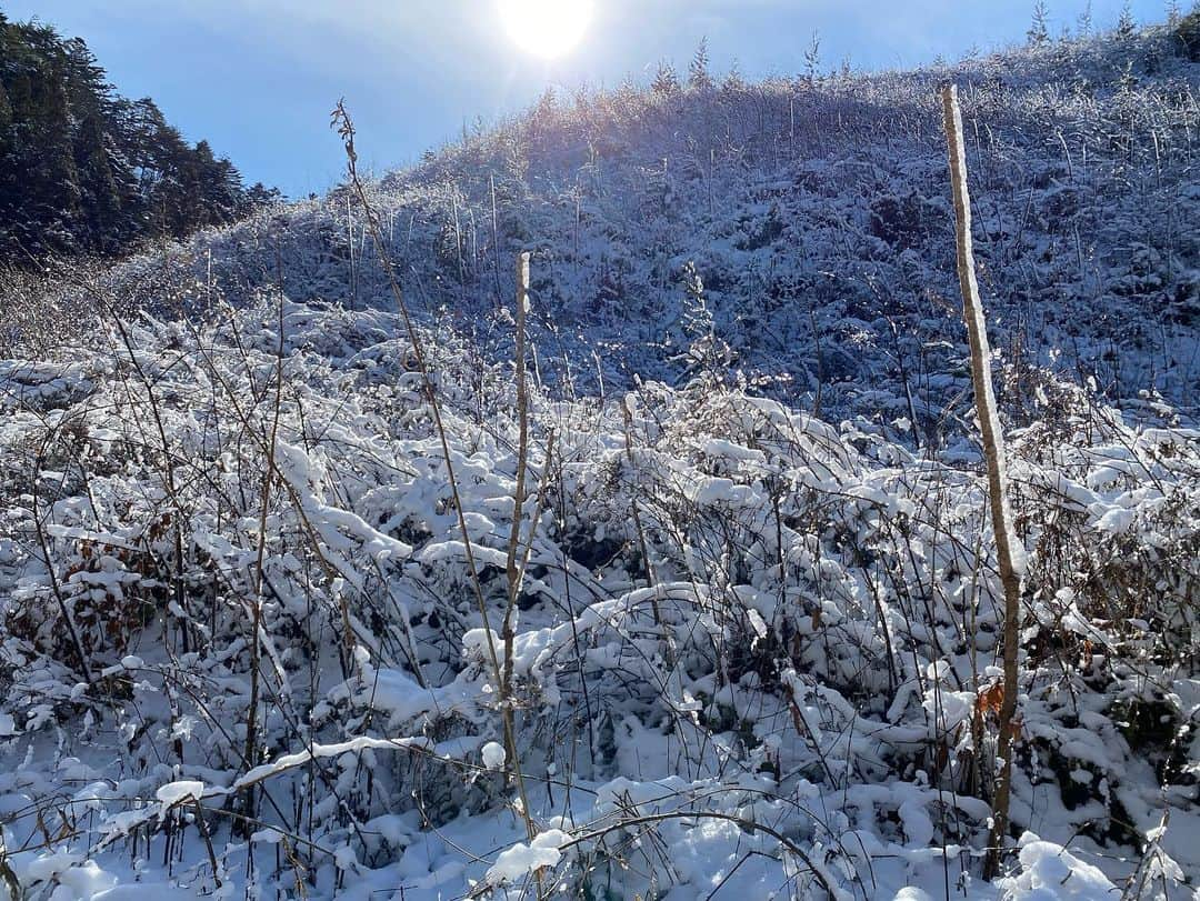 小野寺耕平さんのインスタグラム写真 - (小野寺耕平Instagram)「地元の写真こちらにも載せときます！ #トッカグン #南三陸 #雪 #冬 #山 #アウトドア #キャンプ #サバイバル #絶景 #YouTube」1月12日 20時16分 - tokkagun.onodera