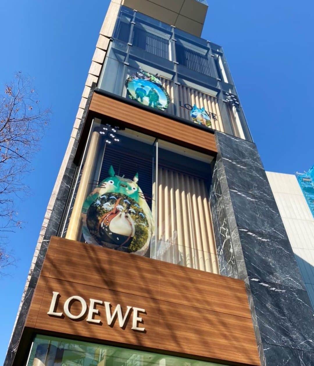 太田唯さんのインスタグラム写真 - (太田唯Instagram)「👜💙🌈💕💕💕  #loewe  #loewetotoro」1月12日 20時19分 - yuiohta.official