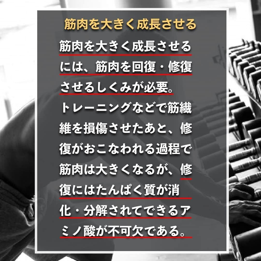 山本義徳さんのインスタグラム写真 - (山本義徳Instagram)「【運動前にプロテイン飲まないとヤバイ?!】  筋肉量アップを目指すトレーニーにとって、 積極的に摂取したいプロテインだが、 飲むタイミングが分からないという方もいるのではないだろうか？ 今回は、プロテインの具体的な摂取タイミングについて解説する。  是非参考になったと思いましたら、フォローいいね また投稿を見返せるように保存していただけたらと思います💪  #運動 #プロテイン #ダイエット #筋トレ #筋トレ女子 #タンパク質 #バルクアップ #筋トレダイエット #筋トレ初心者 #筋トレ男子 #ボディビル #筋肉女子 #筋トレ好きと繋がりたい #トレーニング好きと繋がりたい #トレーニング男子 #トレーニー女子と繋がりたい #ボディビルダー #筋スタグラム #筋肉男子 #筋肉好き #筋肉つけたい #プロテインダイエット #プロテイン女子 #トレーニング大好き #トレーニング初心者 #筋肉トレーニング #エクササイズ女子 #山本義徳 #筋肉増量 #valx」1月12日 20時32分 - valx_kintoredaigaku
