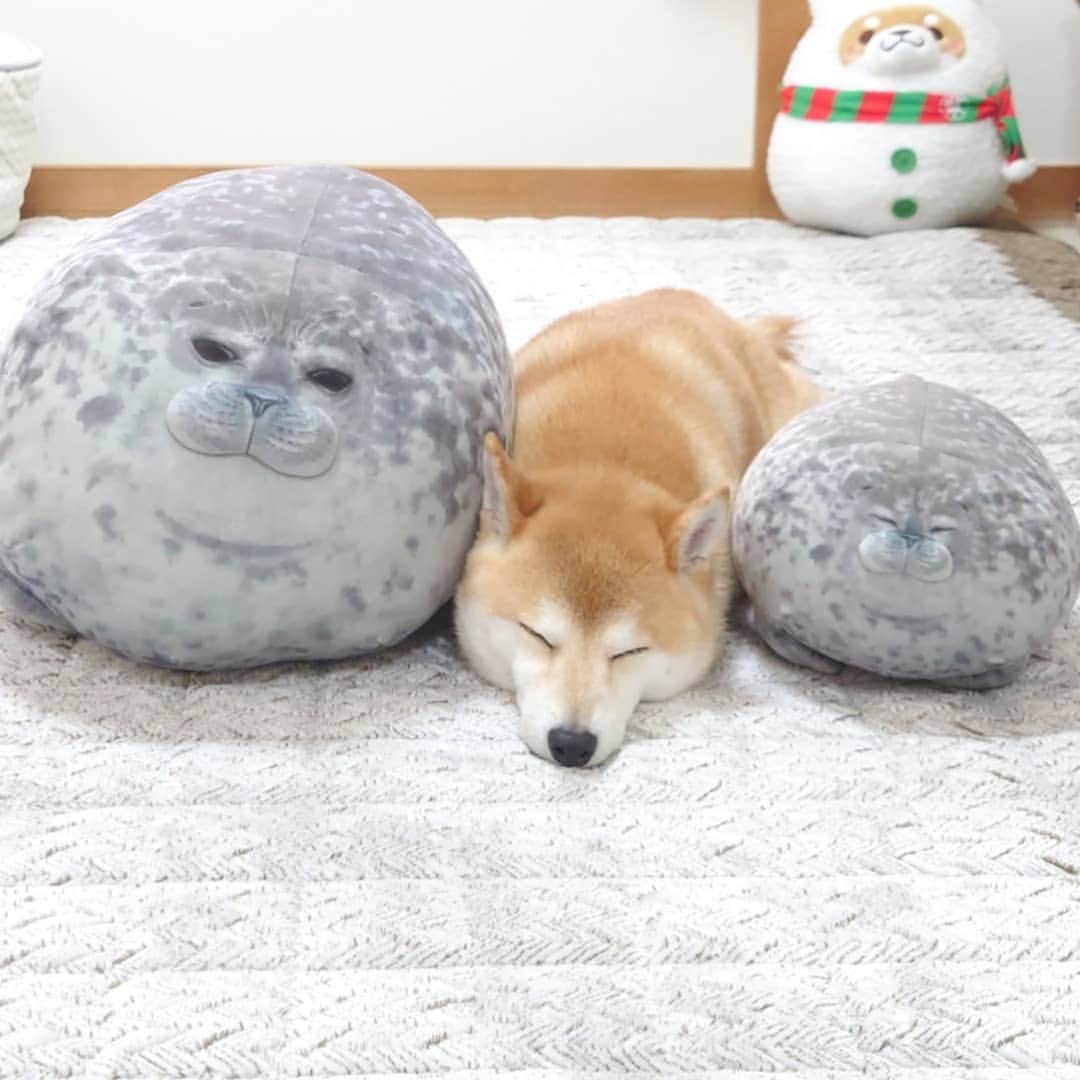 ちゃみのインスタグラム