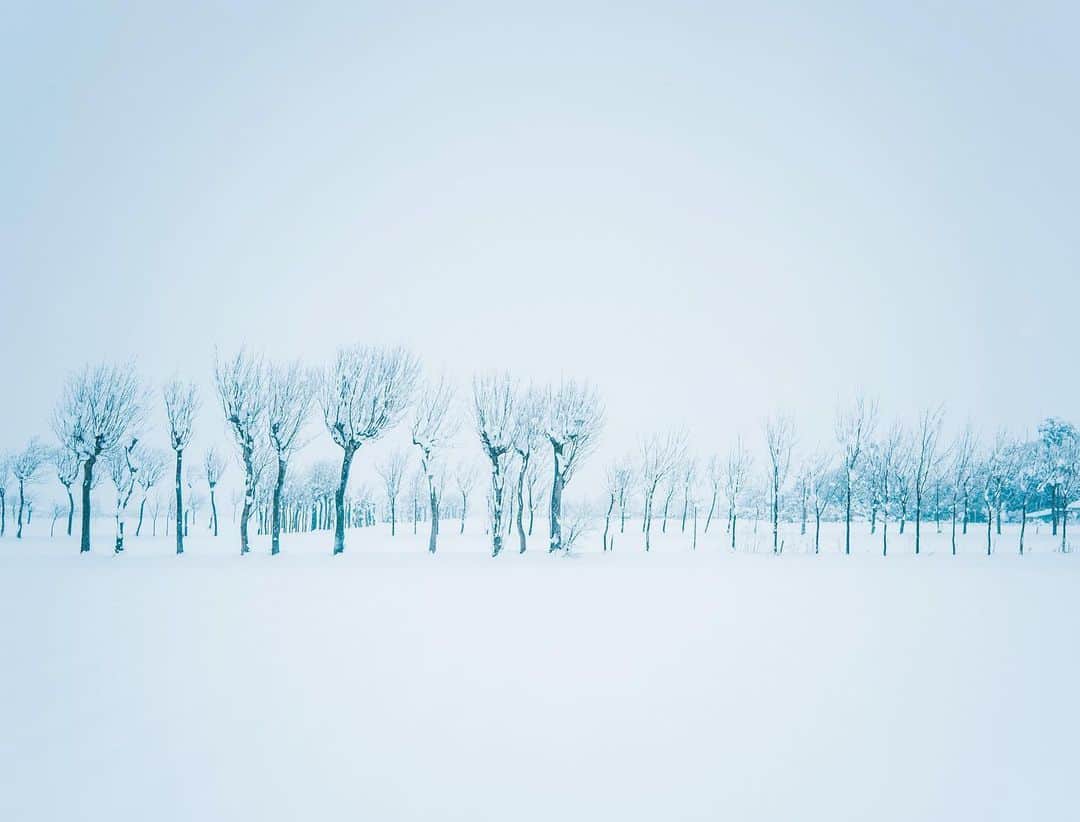 yukiさんのインスタグラム写真 - (yukiInstagram)「・ ・ ・ Wonderful winter days ・ ・ ・ ◉sty830 base shop◉ https://sty830.base.shop/ ・ ・ ・ #新潟　#雪　#雪景色」1月12日 20時57分 - sty830