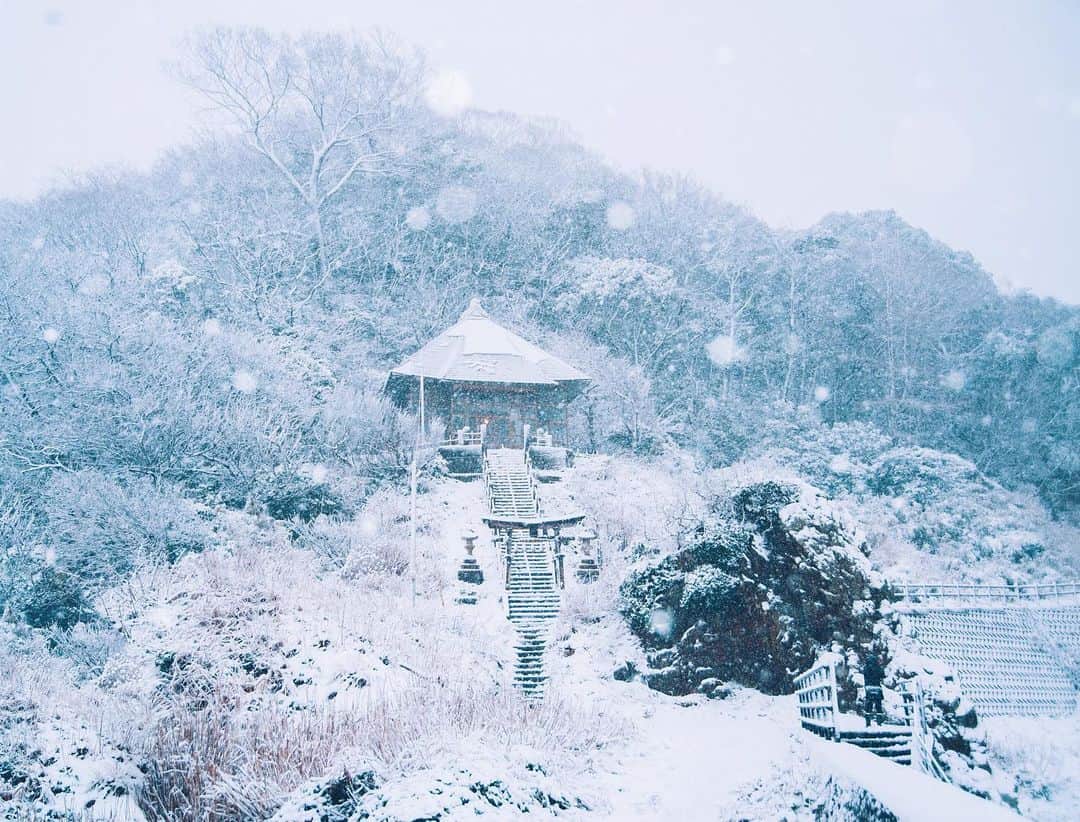 yukiさんのインスタグラム写真 - (yukiInstagram)「・ ・ ・ Wonderful winter days ・ ・ ・ ◉sty830 base shop◉ https://sty830.base.shop/ ・ ・ ・ #新潟　#雪　#雪景色」1月12日 20時57分 - sty830