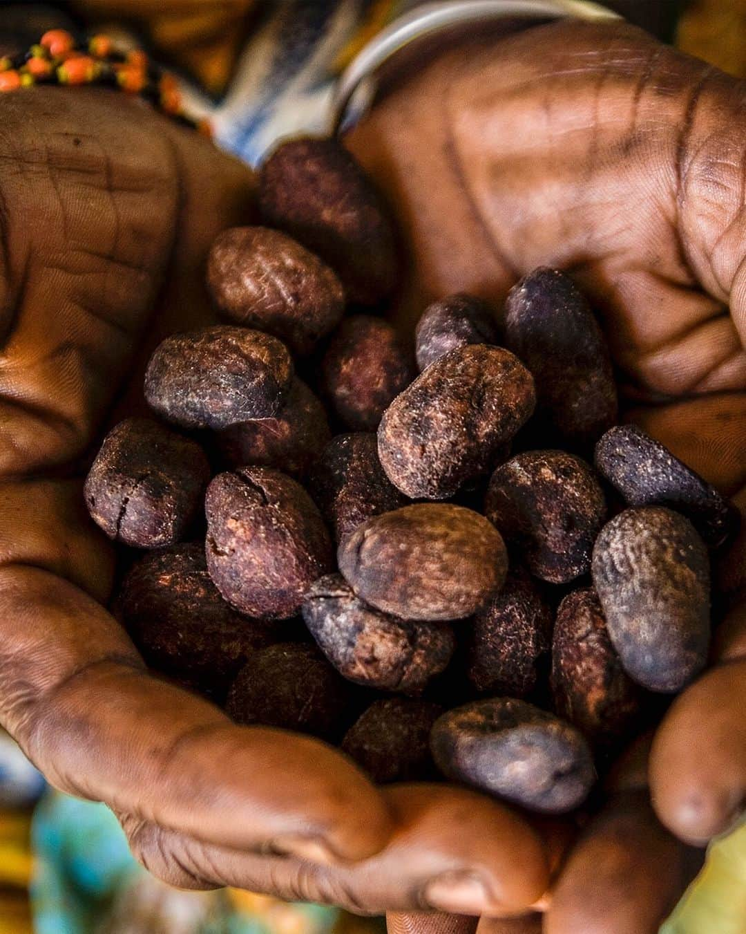 ロクシタンさんのインスタグラム写真 - (ロクシタンInstagram)「Organic Shea ✨   Shea Butter is an ideal beauty ingredient that’s rich in fatty acids which help to soothe and condition in dry conditions. It has been used for centuries by women in Sub-Saharan Africa to nourish and protect their skin and hair. 💛  The international success of L’Occitane’s shea butter products can be shared with several thousand Burkinabé women, who are committed to developing a sustainable, fair trade shea butter supply chain.  #BurkinaFaso #Shea #EmpoweringWomen #RespectingBiodiversity #LOccitane」1月12日 20時49分 - loccitane