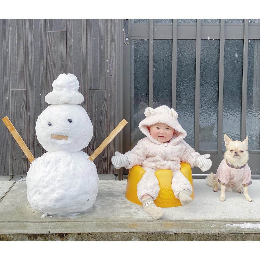 mamagirl ママガールさんのインスタグラム写真 - (mamagirl ママガールInstagram)「﻿ 今日はたくさん雪が降った地域も多かったのでは⛄？﻿ お子さんもきっと大喜びですよね☺❤﻿ ﻿ 大人は少し大変ですが(笑)雪が積もっていたらぜひ雪だるまやかまくらを一緒に作ってみて下さいね❄﻿ ﻿ photo by @kei_1013 @comakiiiii @kasumi.min @asahiya.koroku ﻿ ﻿ 素敵なお写真をありがとうございます💕﻿ ﻿ 『ママガール』ではオシャレも子育ても楽しみたいママさんに向けて発信中✨﻿ ﻿ @mamagirl_jp や #mamagirl のタグ付けをして下さった投稿からも紹介しております。﻿ 是非、タグ付けやハッシュタグをつけて投稿してみてください🌷﻿ ﻿ #雪遊び #かまくら #雪だるま #冬の遊び #ママライフ #男の子ママ #女の子ママ #子育て #育児 #ママ友 #ママ友募集 #キッズ #親バカ #親バカ部 #こどものいる暮らし #新米ママ #ママと繋がりたい #新米ママと繋がりたい #子育て記録 #育児記録 #赤ちゃんのいる暮らし #赤ちゃんのいる生活 #ママさんと繋がりたい #子育てグラム #ママカメラ部 #ママカメラマン」1月12日 21時00分 - mamagirl_jp