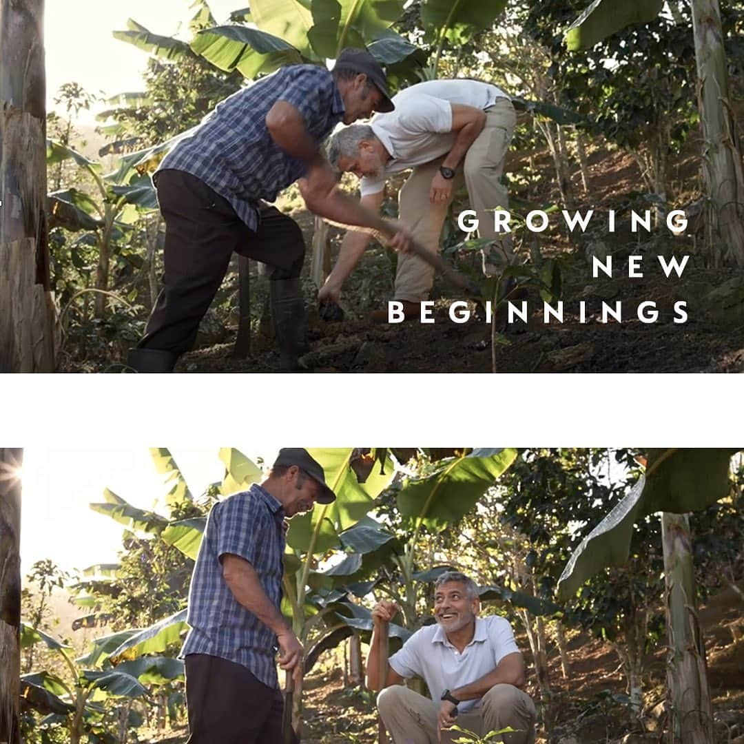 Nespressoのインスタグラム：「With every cup, through our REVIVING ORIGINS program we're helping to revive devastated farmlands around the world. But this story is not just about reviving farmlands, it’s also about changing farmers lives and reviving coffee communities for generations to come.  #Witheverycup #Nespresso」