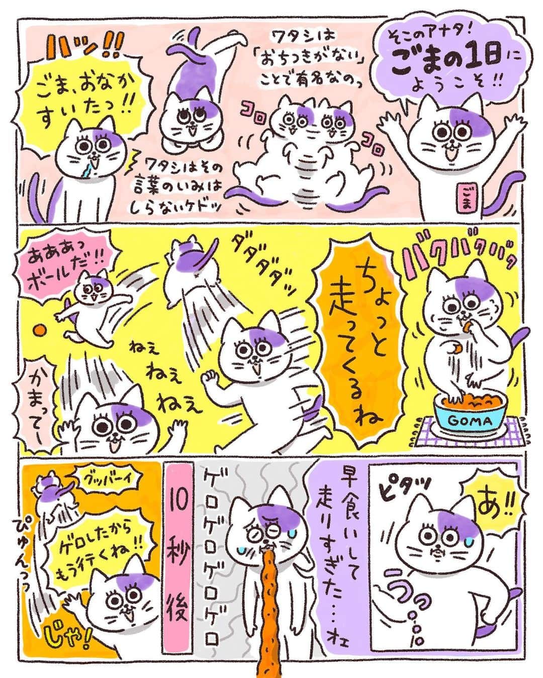 澤村 花菜のインスタグラム：「食べたあとすぐ走ったらだめなんだ！！って、そろそろ気づいてほしい😂  #ぐみごまのまんが #イラスト #illustration #drawing #painting #cat」