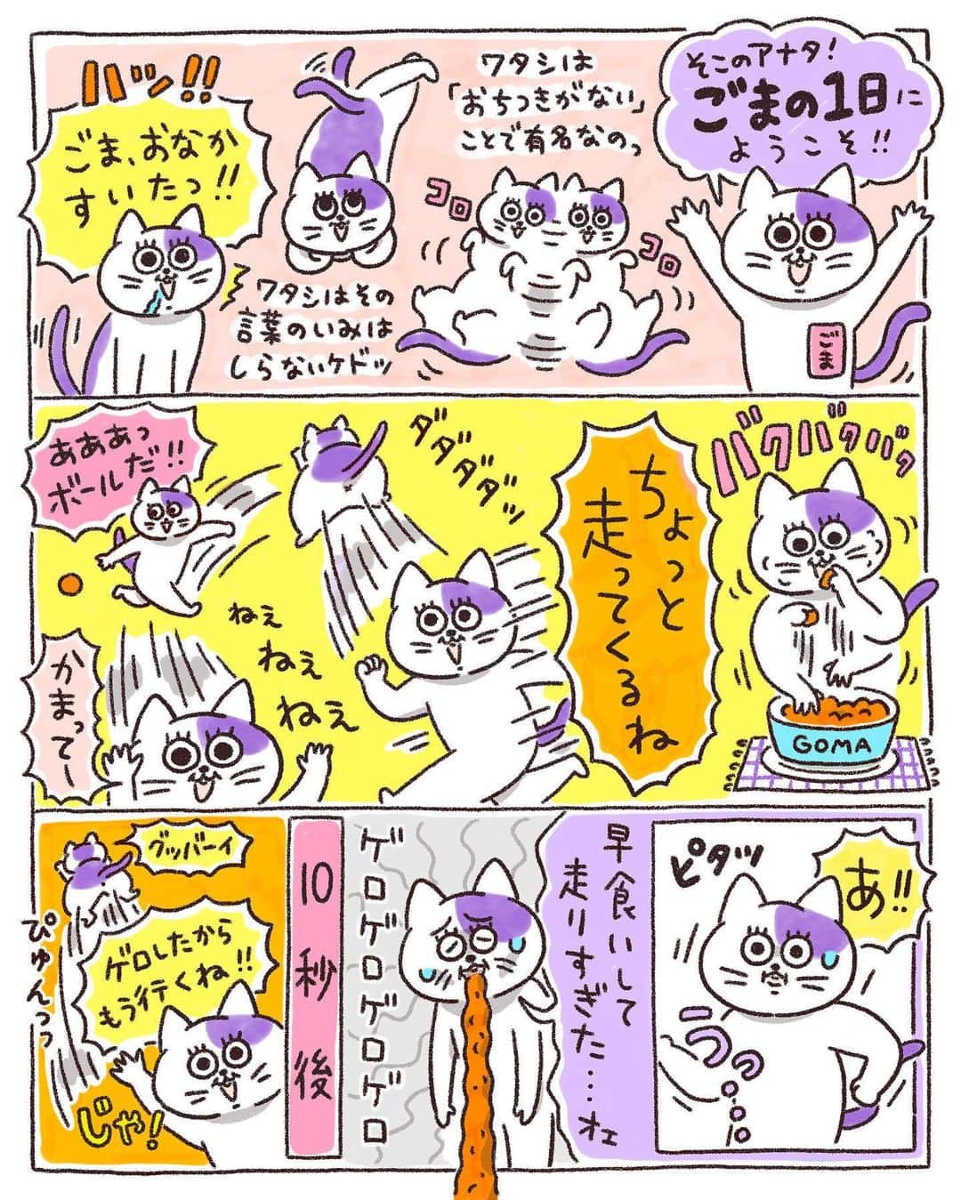 のインスタグラム：「食べたあとすぐ走ったらだめなんだ！！って、そろそろ気づいてほしい😂  #ぐみごまのまんが #イラスト #illustration #drawing #painting #cat」