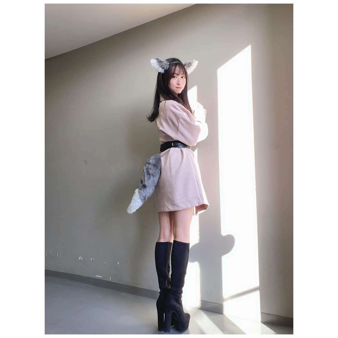 上西怜さんのインスタグラム写真 - (上西怜Instagram)「⠀ この前の私服の全身です👗💖 ⠀ このワンピースとっても 着心地が良いんです🥰 着やすいピンク色で、 ベルトも可愛くてお気に入り〜👑 ⠀ ⠀ ピンクと黒で 甘辛コーデ⁇♡ ⠀ ついでに、耳と尻尾も🐺 ⠀ #ootd #私服  #コスプレ #狼  #ワンピース #ベルト / #redyazel」1月12日 21時25分 - jonishi_rei