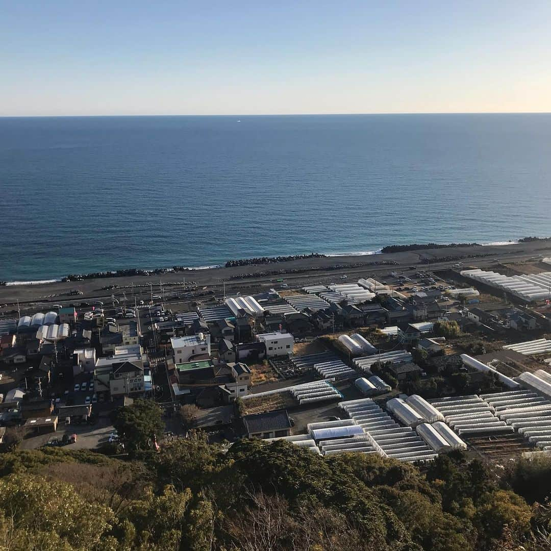 静岡グルメ情報さんのインスタグラム写真 - (静岡グルメ情報Instagram)「・ 毎年久能山までトレーニングがてら走って行くが、今回は時間が合わず車でぶ～んっ🚗💨 ・ 金の成る木と出世御守りを買う！ ・ これっ効くんだよな～っw ・  #静岡グルメ #静岡ランチ #パン🥐  #静岡 #静岡市街中ランチ #ラーメン🍜 #おすすめカフェ☕️#静岡市パン屋 #デザート #スイーツ🍰 #駿河区おすすめランチ  #葵区ランチ #静岡市ランチ #静岡市グルメ #静岡市カフェ #静岡市 #食通 ・ ・ 静岡市の食通さんと繋がりたい 情報交換求む  もっと美味しい店知りたい ・ #followme #eat #grumet #food #cafe #lunch  #Shizuoka #japan #japan food」1月12日 21時55分 - syokutsuu_itete_in_shizuoka