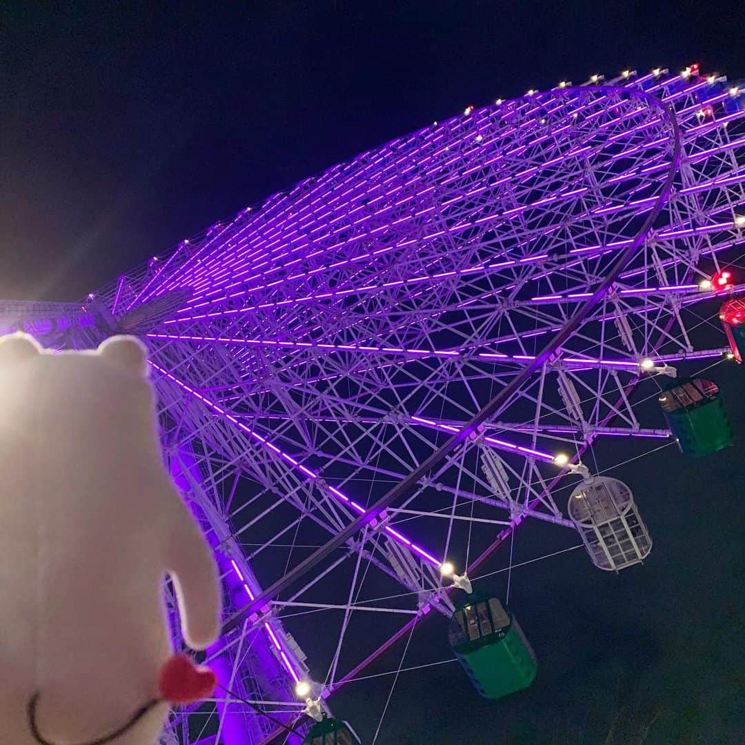 フィルたんのインスタグラム：「フィルたんだよ〜💬   観覧車🎡また乗りたいな〜😌✨ 見るのも綺麗だよね💕  @toyalekco_official @filtan_official  #フィルたん　#観覧車　#夜景　#また行きたいな #たそがれ」