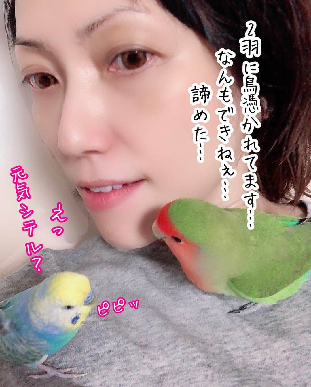 甘乃つばき（吉瀬菜々子）のインスタグラム：「おや睡眠🌎🦉 私: そろそろハウスしよか？ 鳥: 。。。緑色2号はベッタリ、青色1号はお気に入りの単語ずっと喋っててどちらもスルー?🙉💬 ・ #おやすみなさい #goodnight🌙 #癒し #小鳥のいる生活」