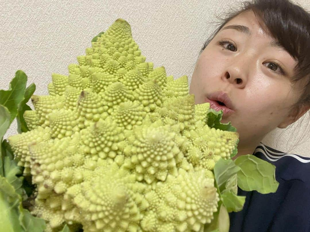 植草歩さんのインスタグラム写真 - (植草歩Instagram)「ロマネスコ🥦って知ってた？ 地元の八街の後援会から頂きました💗 美すぎる野菜と言われてるらしい🥦 カリフラワーと同じ種類だよ🥦🥦🥦 八街からたくさん野菜もらって 自粛中だし自宅で アレンジして料理するのに助かってる👍🏻  #ロマネスコ #野菜 #野菜料理」1月12日 23時16分 - ayayumin0725