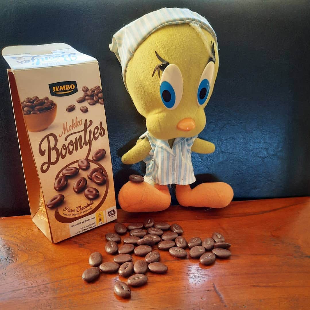Little Yellow Birdさんのインスタグラム写真 - (Little Yellow BirdInstagram)「A super healthy snack for this weeks #honeygroveteapartytuesday!! Beans!! Brown beans! Mocha beans....ok, ok, they're chocolate. Chocolate is a vegetable too, right!? #littleyellowbird #tweety #tweetykweelapis #adventures #yellow #bird #tuesday #snack #sweet #sweettreat #mokkaboontjes #chocolade #chocolate #mochabeans #chocolateisavegetable #stuffedanimalsofinstagram #plushiesofinstagram」1月12日 23時23分 - tweetykweelapis