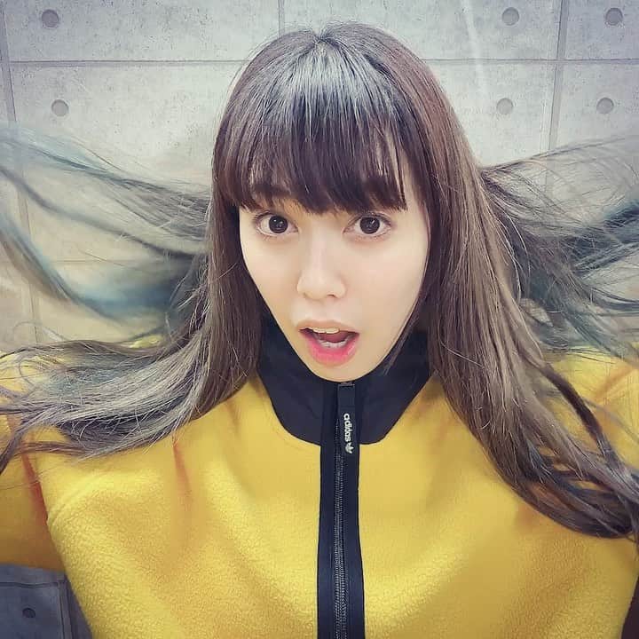のインスタグラム：「🤍 #stayhome  おうちで出来る仕事を 見つけていこう！ ・ ・ 未来は明るい✨ たくさん笑って免疫力あっぷ！ ・ 大好き🖤 ・ ・ ・ #1日1大好き #優美 #昭和感 #大好き #love #vegan #bluehair」