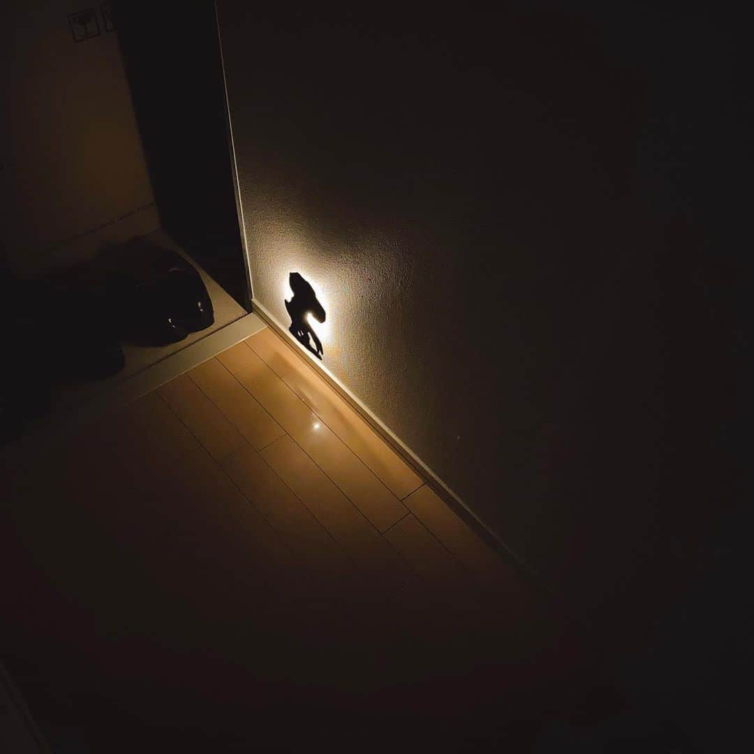 ぎわちん。さんのインスタグラム写真 - (ぎわちん。Instagram)「アグモンが我が家に現れました #デジモン #デジモンアドベンチャー #アグモン #digimon #digimonadventure  #agumon  #ライト #フットライト #おしゃれ #ぎわちん」1月12日 23時40分 - giwa_chin