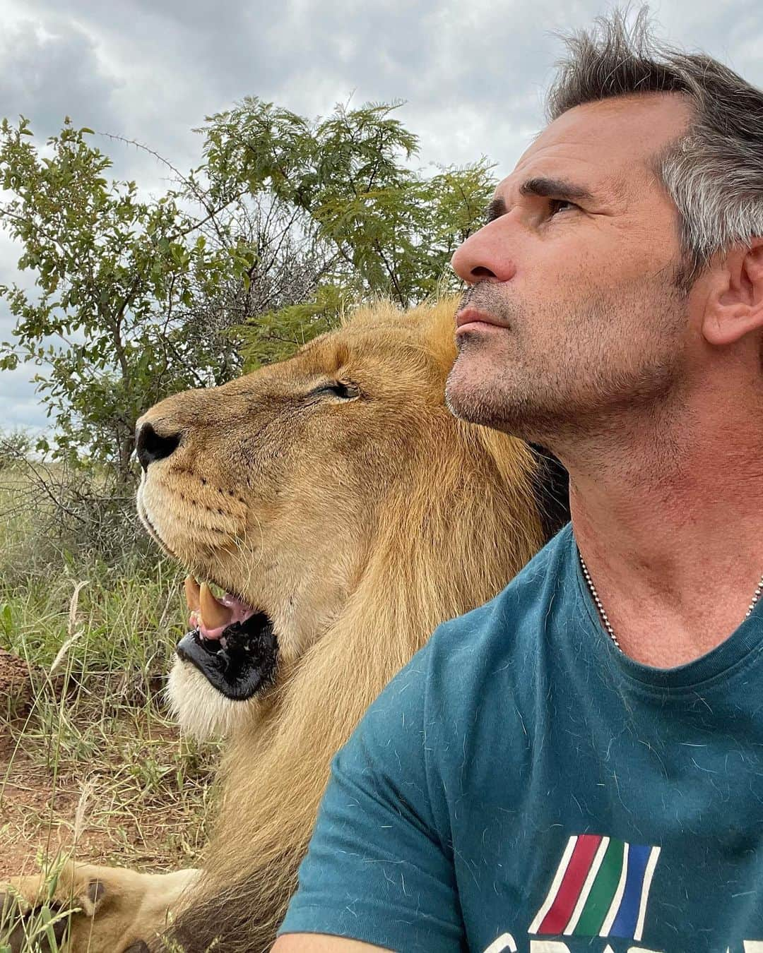 Kevin Richardson LionWhisperer さんのインスタグラム写真 - (Kevin Richardson LionWhisperer Instagram)「There is something beautiful about a relationship that spans a long time. In this case over 16 years with Siam. Some days I visit him and his lady friends without uttering a word. There’s definitely an unspoken language we communicate in. Perhaps a question we modern beings should be asking ourselves more frequently, is where we went wrong. From being a species that was such a part of nature to one that is now so far apart from it I fear we may never find our way back.  On a lighter note at least Siam hasn’t gone grey over the years 😅 • • • • • #interspeciesfriendship #realtionshipgoals #kevinrichardson #lionwhisperer #unspoken #unspokenlanguage #lions #thelionwhisperer #nature #naturelovers #grey #greyhairdontcare #greyhair #silverhair」1月12日 23時56分 - lionwhisperersa