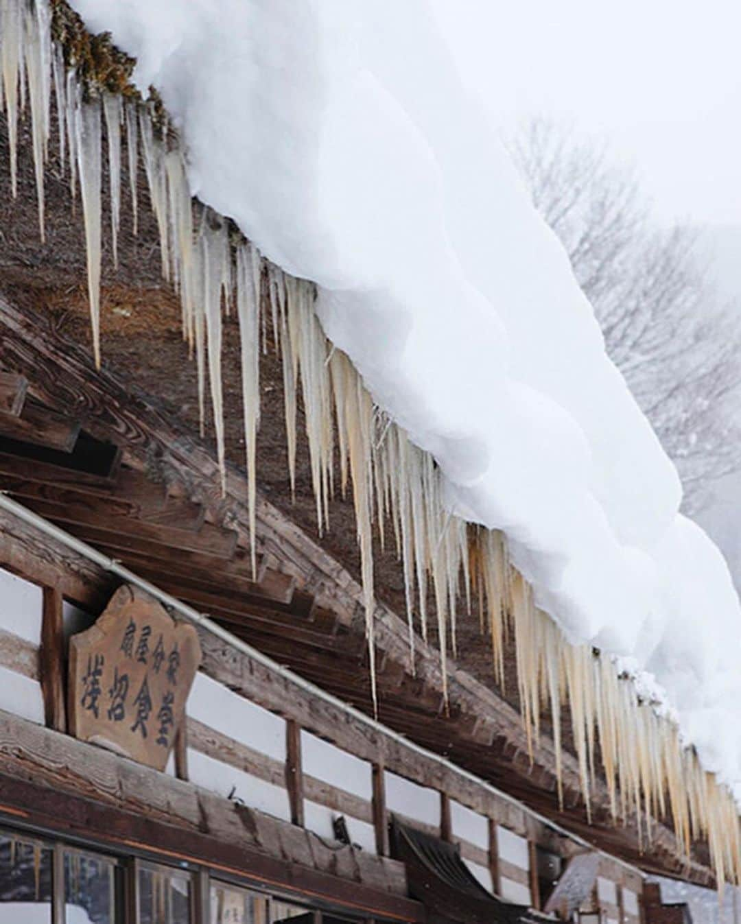 Rediscover Fukushimaさんのインスタグラム写真 - (Rediscover FukushimaInstagram)「ANNOUNCEMENT: Instagram livestream tour of the beautiful snowy Ouchi-juku post town is scheduled for January 21st at 9:30am Fukushima time (January 20th 7:30pm Eastern Standard Time). 💕❄️   Come along with me, Reagan from Rediscover Fukushima, and let’s travel through the snow to the historic post town Ouchi-juku to see this beautiful place turned into a winter wonderland.❄️🥰❄️   Here at the historic post town of Ouchi-juku you can experience walking around 17th century buildings covered with a tremendous amount of snow. Currently you may not be able to physically travel here, so we are excited to take you with us- virtually!😎✨   Snow falling on thatched roof houses, what does that sound like? Let’s find out together!😉✨   We hope that you can join us!🥰  (We will also be doing a Facebook livestream 30 minutes prior so check out of Facebook : Travel Fukushima Japan for my information!!)✨  🏷 ( #fukushima #fukushimagram #fukushimaprefecture #fukushimatrip #visitfukushima #japan #japantrip #japantravel #japanese #japaneseculture #japanesetreats #japanese_daytime_view #japanphotos #japanphoto #japan_of_insta #japanculture #japanphotography #myjapan #ouchijuku #ocuchijiku #winterjapan #japanwinter #snowyjapan #japow #japowder #japowderhunting #japowderchasing #posttown #japaneseposttown #japanesehistory )」1月13日 11時28分 - rediscoverfukushima