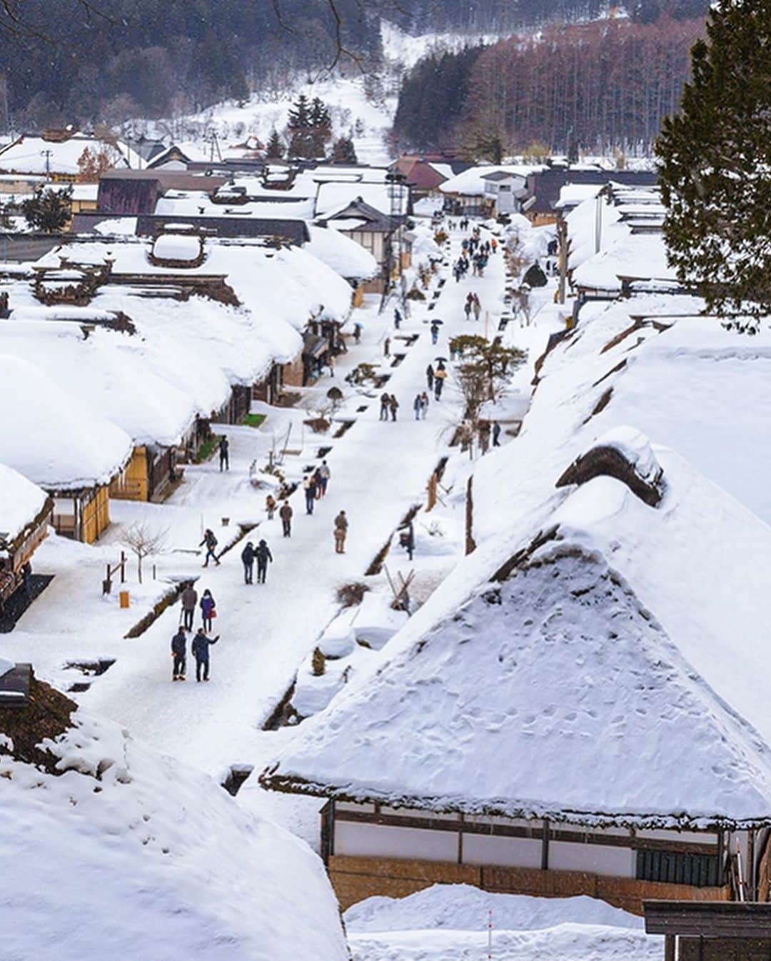 Rediscover Fukushimaさんのインスタグラム写真 - (Rediscover FukushimaInstagram)「ANNOUNCEMENT: Instagram livestream tour of the beautiful snowy Ouchi-juku post town is scheduled for January 21st at 9:30am Fukushima time (January 20th 7:30pm Eastern Standard Time). 💕❄️   Come along with me, Reagan from Rediscover Fukushima, and let’s travel through the snow to the historic post town Ouchi-juku to see this beautiful place turned into a winter wonderland.❄️🥰❄️   Here at the historic post town of Ouchi-juku you can experience walking around 17th century buildings covered with a tremendous amount of snow. Currently you may not be able to physically travel here, so we are excited to take you with us- virtually!😎✨   Snow falling on thatched roof houses, what does that sound like? Let’s find out together!😉✨   We hope that you can join us!🥰  (We will also be doing a Facebook livestream 30 minutes prior so check out of Facebook : Travel Fukushima Japan for my information!!)✨  🏷 ( #fukushima #fukushimagram #fukushimaprefecture #fukushimatrip #visitfukushima #japan #japantrip #japantravel #japanese #japaneseculture #japanesetreats #japanese_daytime_view #japanphotos #japanphoto #japan_of_insta #japanculture #japanphotography #myjapan #ouchijuku #ocuchijiku #winterjapan #japanwinter #snowyjapan #japow #japowder #japowderhunting #japowderchasing #posttown #japaneseposttown #japanesehistory )」1月13日 11時28分 - rediscoverfukushima