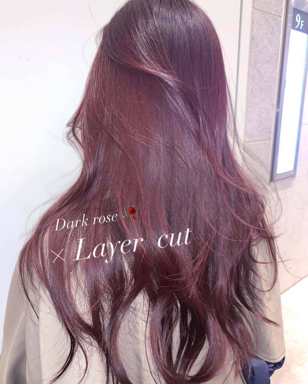 原涼香のインスタグラム：「𝐃𝐚𝐫𝐤 𝐫𝐨𝐬𝐞 ×  𝐋𝐚𝐲𝐞𝐫 𝐜𝐮𝐭 上品な色気はヘアーでつくる。 ㅤㅤㅤㅤㅤㅤㅤㅤㅤㅤㅤㅤㅤ 2枚目以降の写真はimageで私が担当したものではありません。」