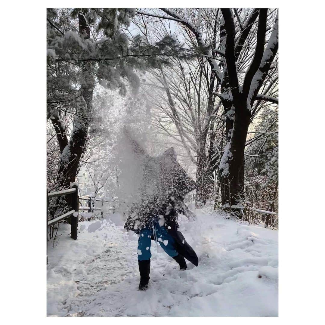 チョン・ヘヨンのインスタグラム：「❄️ 오늘부터 아침 먹기전 공복에 매일매일 산에 오르려구요 1일차」