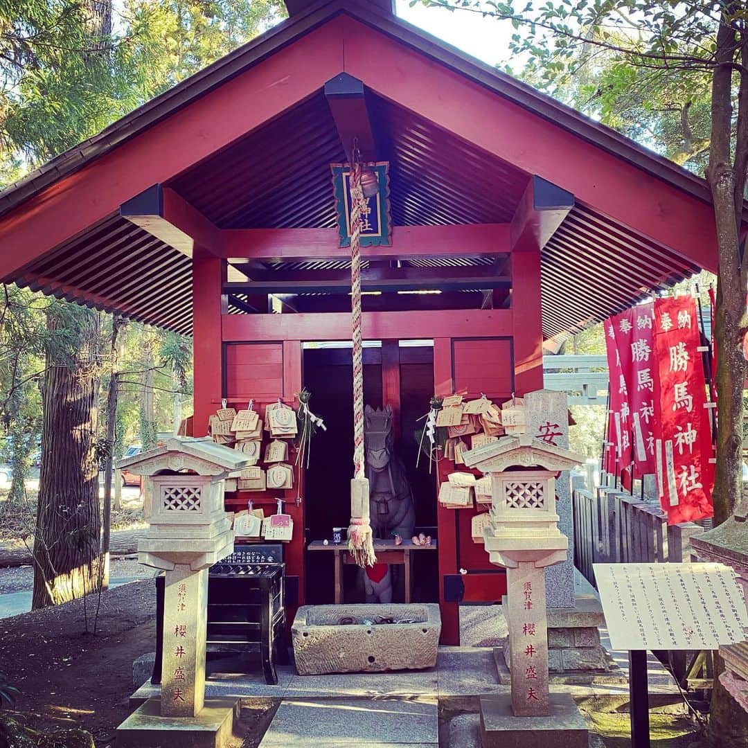 のインスタグラム：「茨城県稲敷市にある勝馬神社です。勝負事、ギャンブル運、競馬で勝ちたい方など待ち受けにどうぞ。今が勝負だと思う方にも御利益があるはず⁉︎  金運大全  仕事運、財運、勝負運が上がり、 たちまちお金がやってくる160の方法 2021年1月13日発売！ Amazonや書店で発売中です！  #勝馬神社  #大杉神社  #茨城県稲敷市  #待ち受けにどうぞ #金運大全」