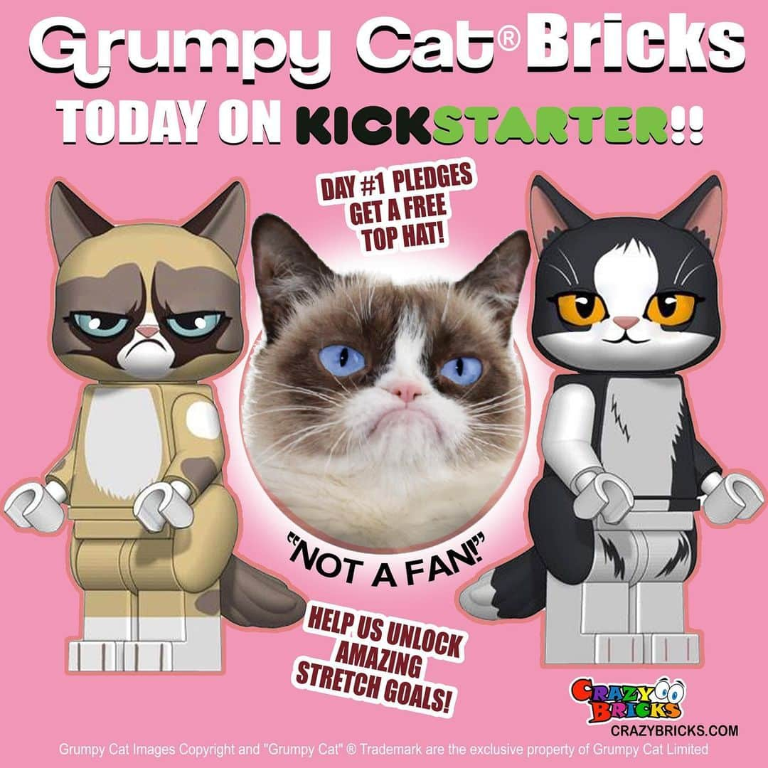 Grumpy Catさんのインスタグラム写真 - (Grumpy CatInstagram)「It’s Launch Day for Grumpy Cat Bricks on @kickstarter! Day 1 supporters get a FREE Grumpy Top Hat! Make your pledge now: http://kck.st/3oCh0g0 (Link in Story!)」1月13日 2時52分 - realgrumpycat