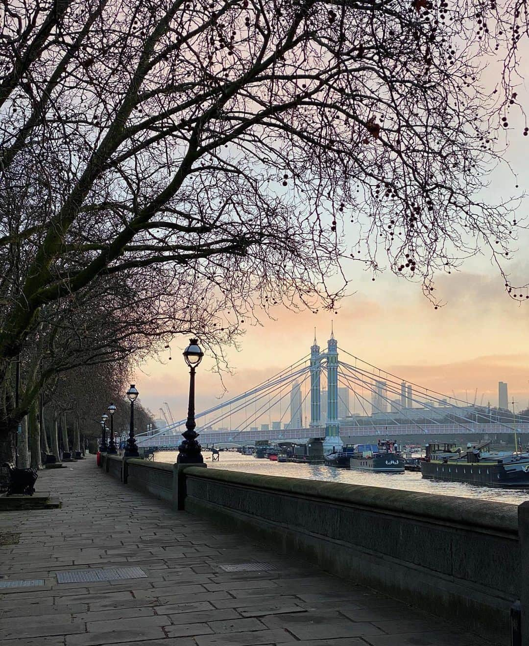 @LONDON | TAG #THISISLONDONさんのインスタグラム写真 - (@LONDON | TAG #THISISLONDONInstagram)「#ChelseaEmbankment & the #AlbertBridge by the wonderful @littlelondonwhispers 💕 Such a beautiful spot for a sunrise walk. 🥰🥶   ___________________________________________  #thisislondon #lovelondon #london #londra #londonlife #londres #uk #visitlondon #british #🇬🇧 #chelsea #madeinchelsea」1月13日 3時26分 - london