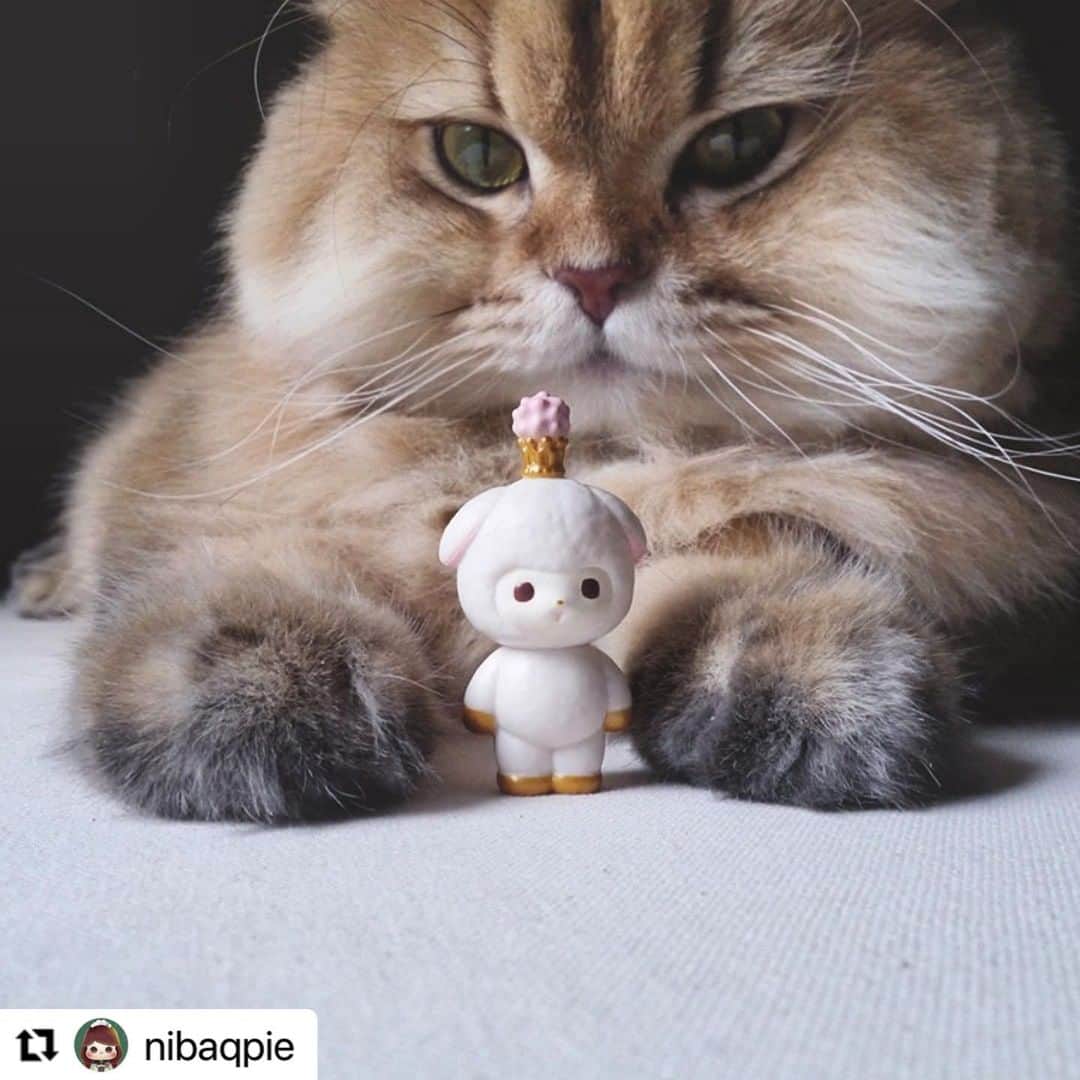 加倉井ミサイルのインスタグラム：「台湾にいるミルキィーミミは、大きなふんわりとしたねことおともだち！  世界中に散らばったミミを見るのが楽しみです。  #今日のミミちゃん🐏 #todaysmimi🐏 #ワルミミ #warumimi #ソフビ #sofvi #vag22  #medicomtoy #絵本  #manga #cartoon #cartoons  #painting #illustration #art #artwork #artist #picturebooks #Childrensbook #childrenbook #stuffed #softtoy #softtoys #stuffedanimals #stuffedsheep  #sheep #happy」