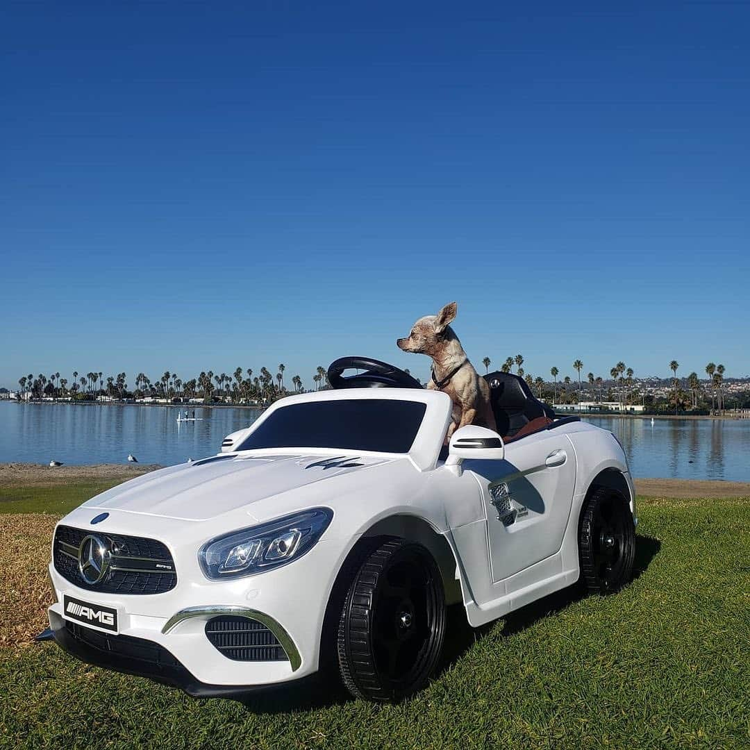 Mercedes-Benz USAのインスタグラム