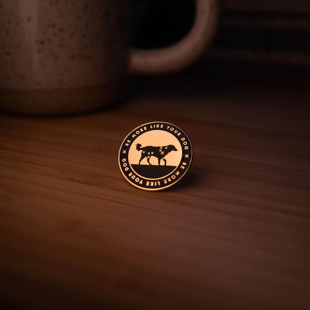 Andrew Knappのインスタグラム：「I found a box of these original @bemorelikeyourdog pins, but these ones are special because the manufacturer messed up the design and put X’s instead of stars, so I always considered them “misprints”. But since a lot of you have asked about the original ones, and I won’t be making more of them, I’d rather you have them than me hoard them. 🙃 These are priced to clean house at $5 (!!) and all other Be More stuff is 50% off (!!!).  Shirts: 50% (for remaining sizes)! Stickers: 50% off (the Momo stickers are $2)! Pins: all pins are 50% off!  This week only! andrewknapp.com/store  Notes about shipping: if they’re going outside of the US and Canada, they could take a long time to get there. Like, over a month long. Tracking is available. Thanks for your patience and for your support! Exclamation mark!」
