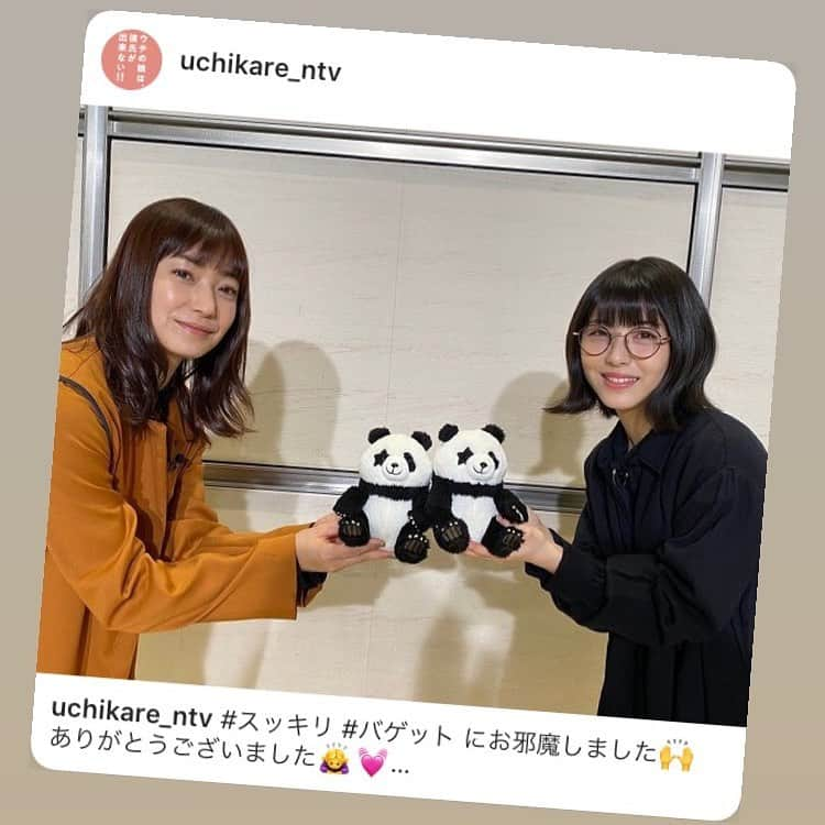 星星（セイセイ）さんのインスタグラム写真 - (星星（セイセイ）Instagram)「🐼❤️🐼 #ウチカレ #ミニ星星 . #菅野美穂 さん！#浜辺美波 さん！ ミニ星星🐼可愛がってくれてありがとうございます〜✨✨ ドラマ、楽しみだなあ❤️ #ウチの娘は彼氏ができない #今夜10時から #わくわく  . #星星 #パンダ #panda #pandagram #パンダ好きな人と繋がりたい #ZIP!」1月13日 11時37分 - seisei_panda