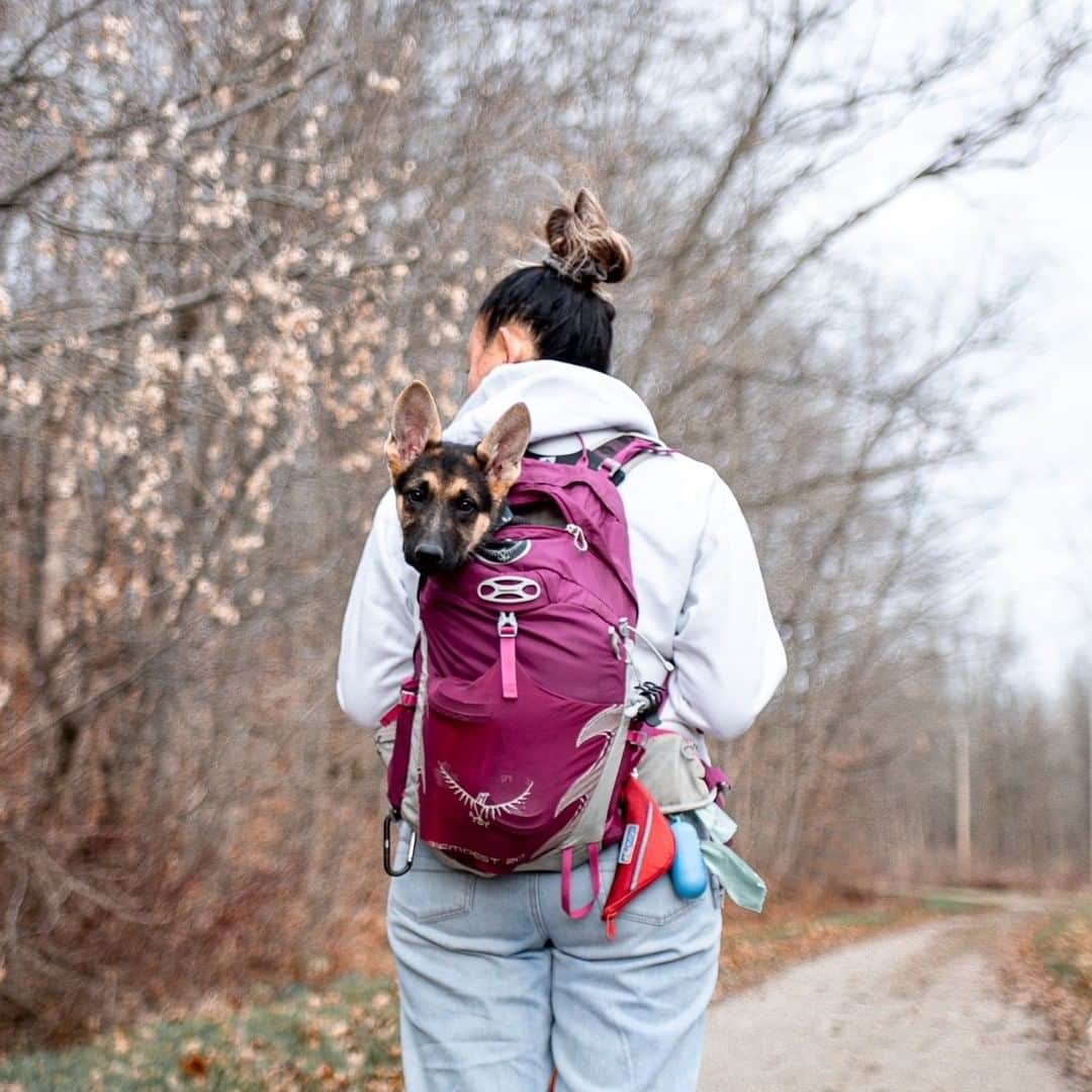 オスプレーのインスタグラム：「"The moments of happiness we enjoy take us by surprise. It is not that we seize them, but that they seize us." - Ashley Montagu 📷 by @growingupmakita  Featured pack from the Talon/Tempest Series #ospreypacks」