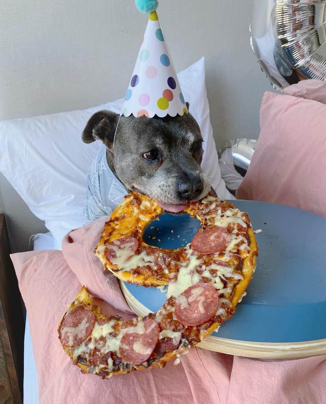 DARREN&PHILLIPさんのインスタグラム写真 - (DARREN&PHILLIPInstagram)「If I had of known I was getting a pizza in my age I woulda turned 100 today instead! Happy birfday to meeee! Philly」1月13日 7時34分 - the_blueboys