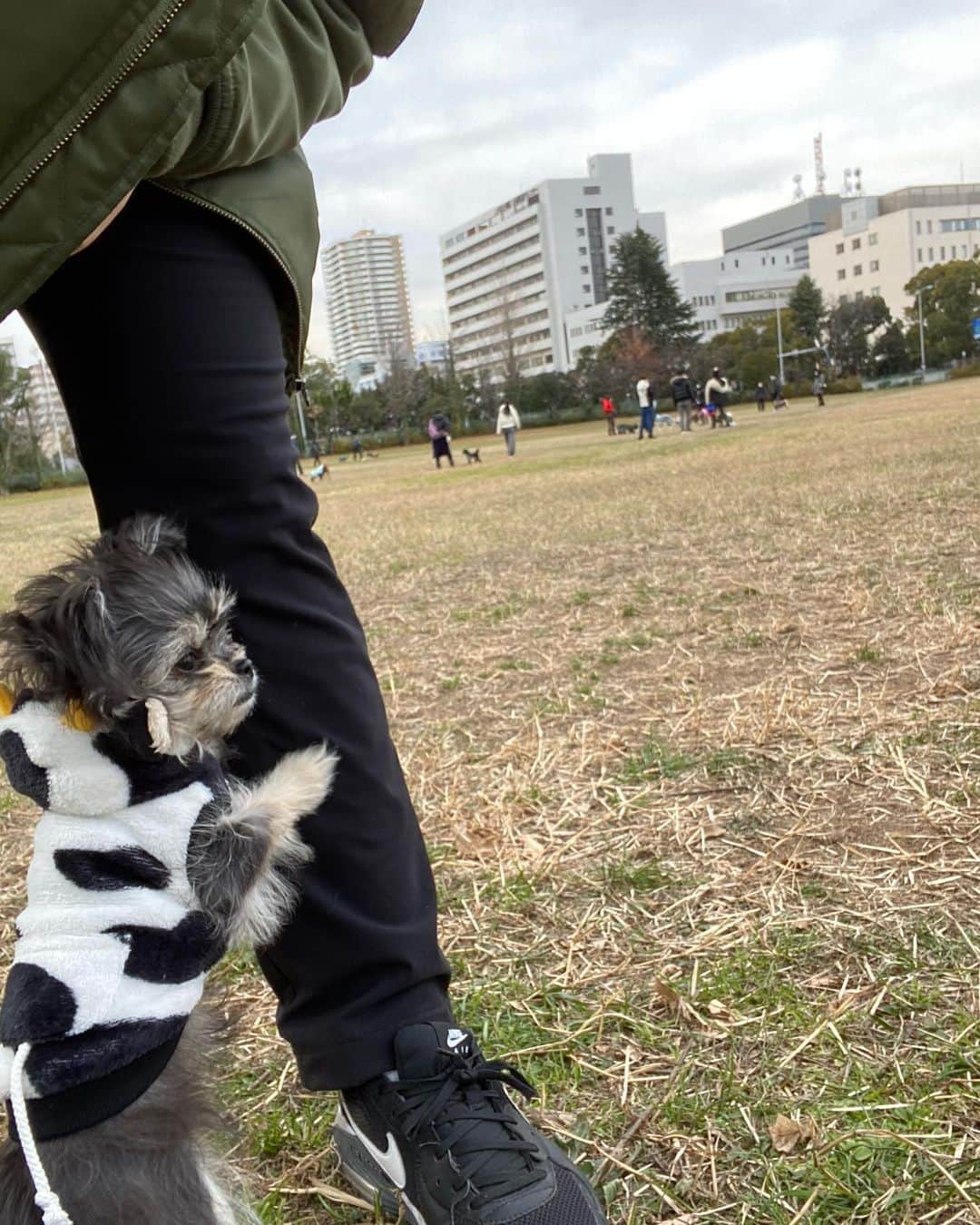 半田あかりのインスタグラム