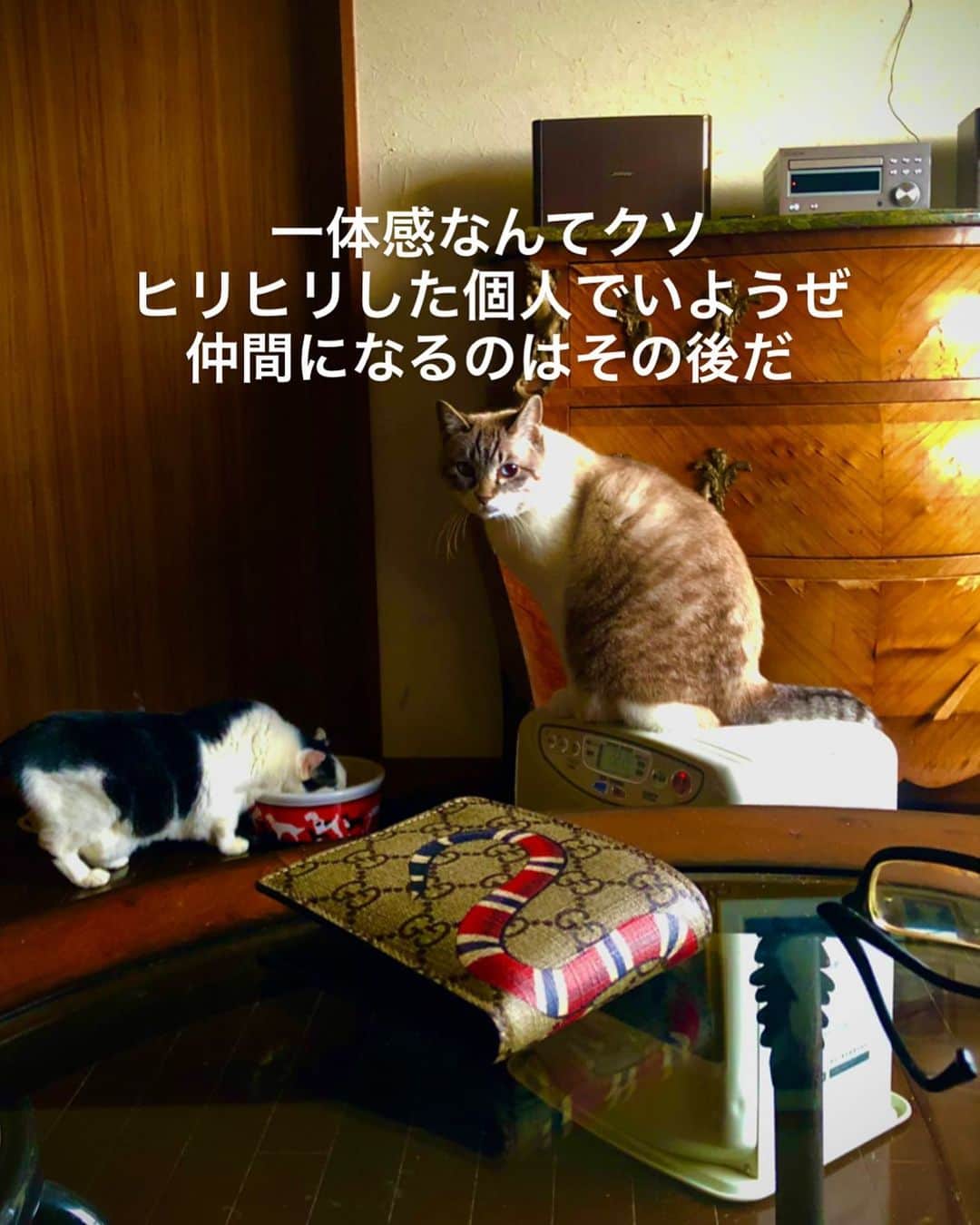 町田康のインスタグラム