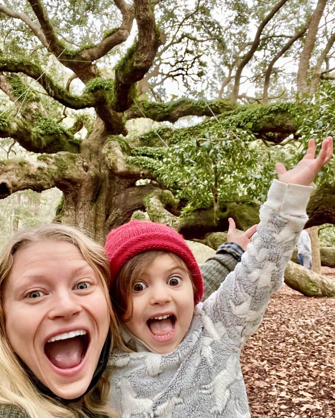 エミリー・デ・レイヴィンのインスタグラム：「We visited The Magic Faraway Tree! Well we pretended it was 😉. This is The Angel Oak in SC & she is absolutely HUGE! And every part of her is just beautiful & tells so many stories in her old age. We gently touched her bark & made wishes together, & just explored the incredible details of such an ancient tree. 400-500 yrs old they say... or 1500 yrs old, also “they” say... so not sure how old, but very!❤️🌳❤️ (We’ve been listening to the incredible Kate Winslet read The Magic Faraway Tree by also incredible Enid Blyton- a childhood favorite of mine & Vera is loving it too 🥰)  * Theo slept the entire time 🤪.   #rvlife #kidlife #mumlife #momlife #lifeontheroad #angeloaktree」