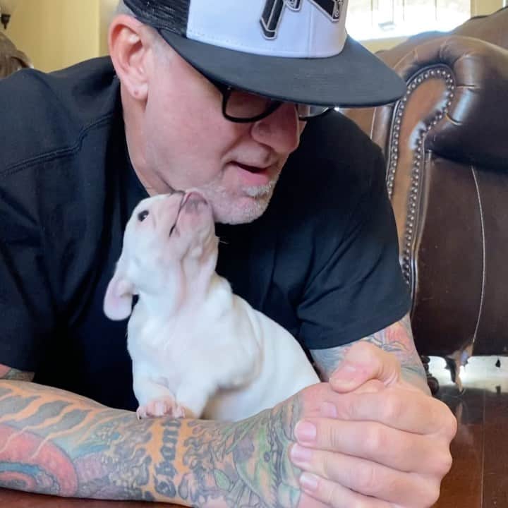 ウエストコーストチョッパーズのインスタグラム：「Thank you Jess ( @silver5bullet ) for hooking us with this sweet little girl Gertrude “Gertie”.  Boy I sure wasn’t looking to get another Frenchy, but when I saw her. My heart melted.  I’m pretty much a crazy cat lady with high end French Bulldogs at this point. Seriously Thank you🙏🏻 #jessejames」