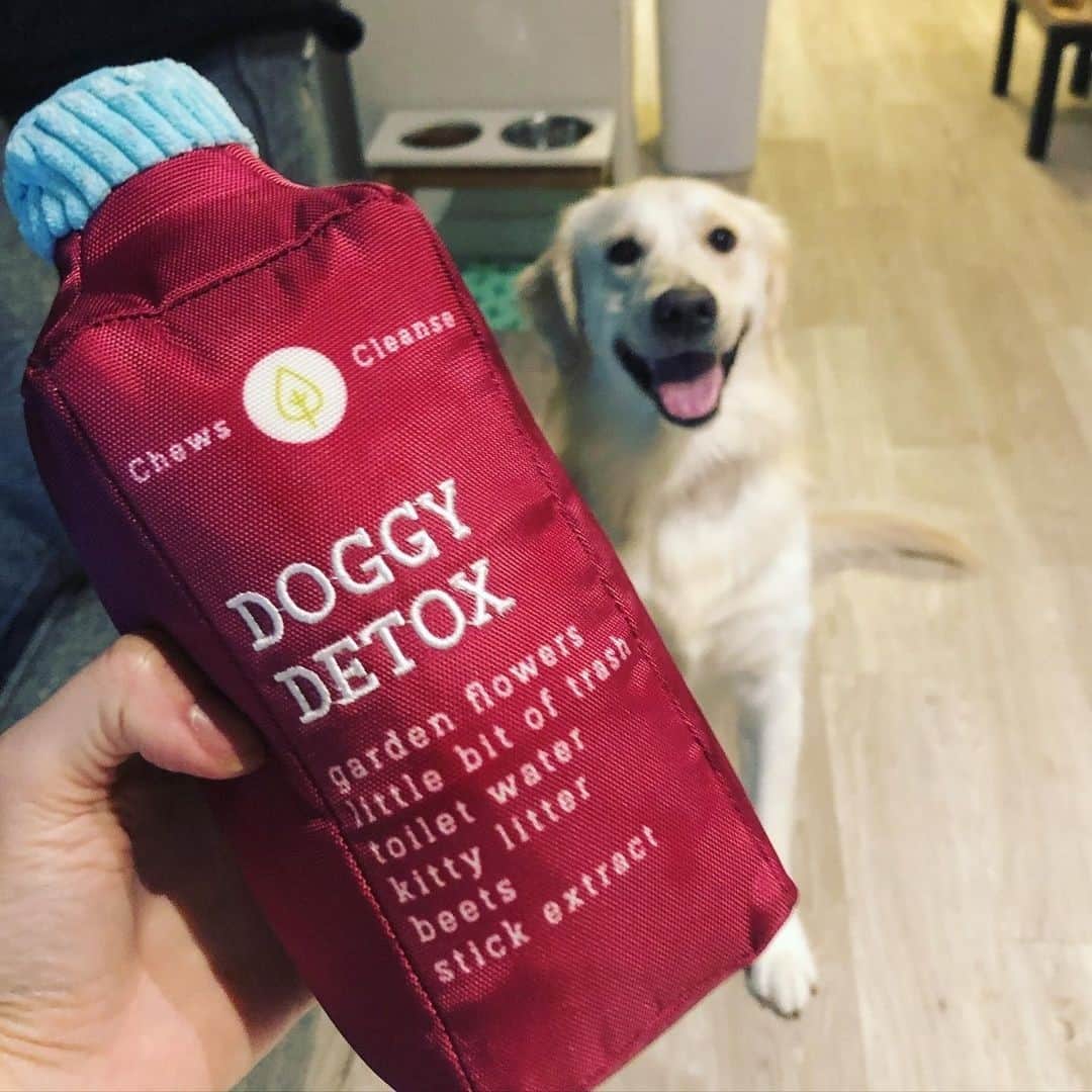 BarkBoxのインスタグラム：「now i'm not one to do or suggest a juice cleanse, but the ingredients in this one have certainly won me over 🧐🥤⁠ ⁠ @oakley.and.jax hi, hello i love u」