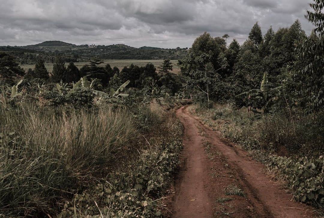 オバッキさんのインスタグラム写真 - (オバッキInstagram)「Uganda is called the 'Pearl of Africa' because of its abundant diversity, brilliant life and unparalleled beauty. Situated at the heart of the African continent in the Nile Basin, Uganda offers everything from vibrant modern city living to dense misty forests and sprawling savannahs. And it is where our founder, @treanapeake found our latest artisan partners - The Potters of Akiliba.   Learn more about our partner and their creations via our link in profile.     #ethicallymade #artisanmade #madeinuganda #handcrafted #sustainableliving #slowdesign #madebyhand #shoplocalcanada」1月13日 9時23分 - obakki