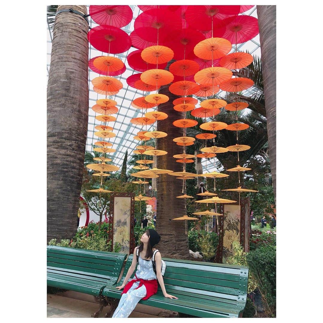 山谷花純さんのインスタグラム写真 - (山谷花純Instagram)「#singapore #シンガポール #ナショナルオーキッドガーデン」1月13日 9時55分 - kasuminwoooow