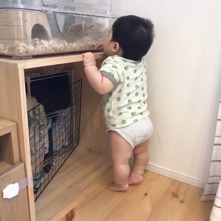 コドモノ！写真部のインスタグラム