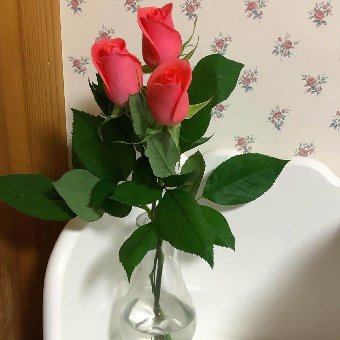 高橋優里花のインスタグラム：「お花は枯れてしまうからこそ、魅力的だと思うのです。 毎週新しい気持ちにさせてくれてありがとう！」