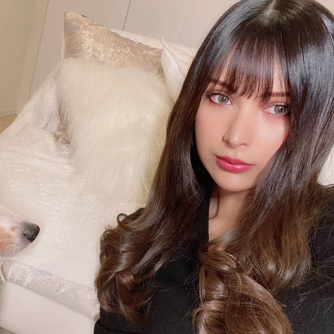 アミンカレダのインスタグラム：「.﻿ インスタ凍結したのか？ってぐらい放置しすぎた😂﻿ 色々興味のあることやってたら1日経つのが本当に早い❗️﻿ 心境とか諸々動画にまとめてる最中です🖥﻿ ﻿ あと つい最近イメチェンもしました🙌✨﻿ 髪のカラーはアッシュ、金髪、赤髪…色々試したけどやっぱり自分の肌に馴染むカラーが1番！ということで黒髪で落ち着きました👘 ※ブルーブラックにしたのに、落ちてきたのと照明であまり黒く見えない﻿ ヘアカラーが違うだけで肌の見え方って変わってくるから美容やオシャレは奥深いーー！﻿ ﻿ 更新頻度あげまーす🙋‍♀️❣️﻿ ﻿ #ヘアカラー #ブルーブラック #美容day #パーソナルカラー #骨格診断 #ボディメイク」