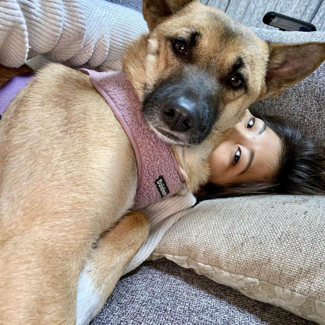 富田真紀子さんのインスタグラム写真 - (富田真紀子Instagram)「わたしはあなたの腕枕🥰🤫🙄 #ヒートテック丸見え  #いぬすたぐらむ  #いぬのきもち  #中型犬 #保護犬 #7」12月20日 17時46分 - makikotommy