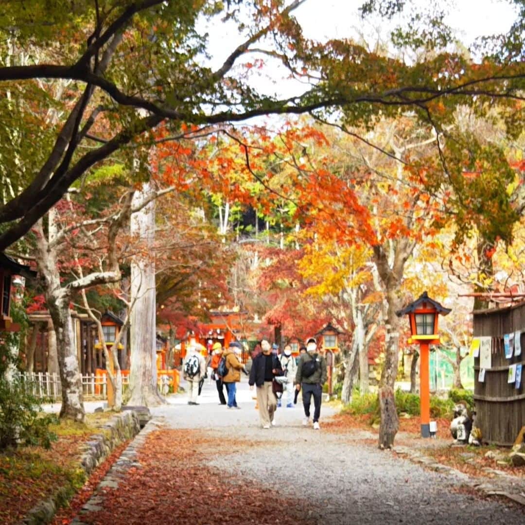 宮崎文子のインスタグラム：「🍀location🍁🍀  #京都  なかなか今年はお墓参りにいけなかったのですが、 7回忌という節目のため家族を代表して法事にいってきました。  その時よった、大原野神社での一枚。  紫式部や藤原道長が故意にしてた 神社だそうです。  とってもきれいでした。  #紅葉のある風景  #パワースポット」