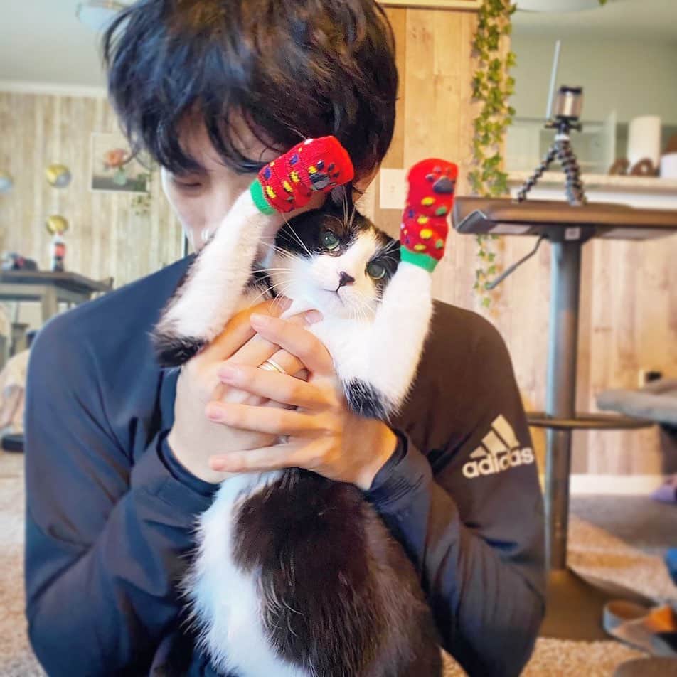 のインスタグラム：「#thankyou #secretsanta @victoria.trimble  . . . #cat #cute #cat #cute #cat #猫 #かわいい #猫 #かわいい #クリスマス #christmas」