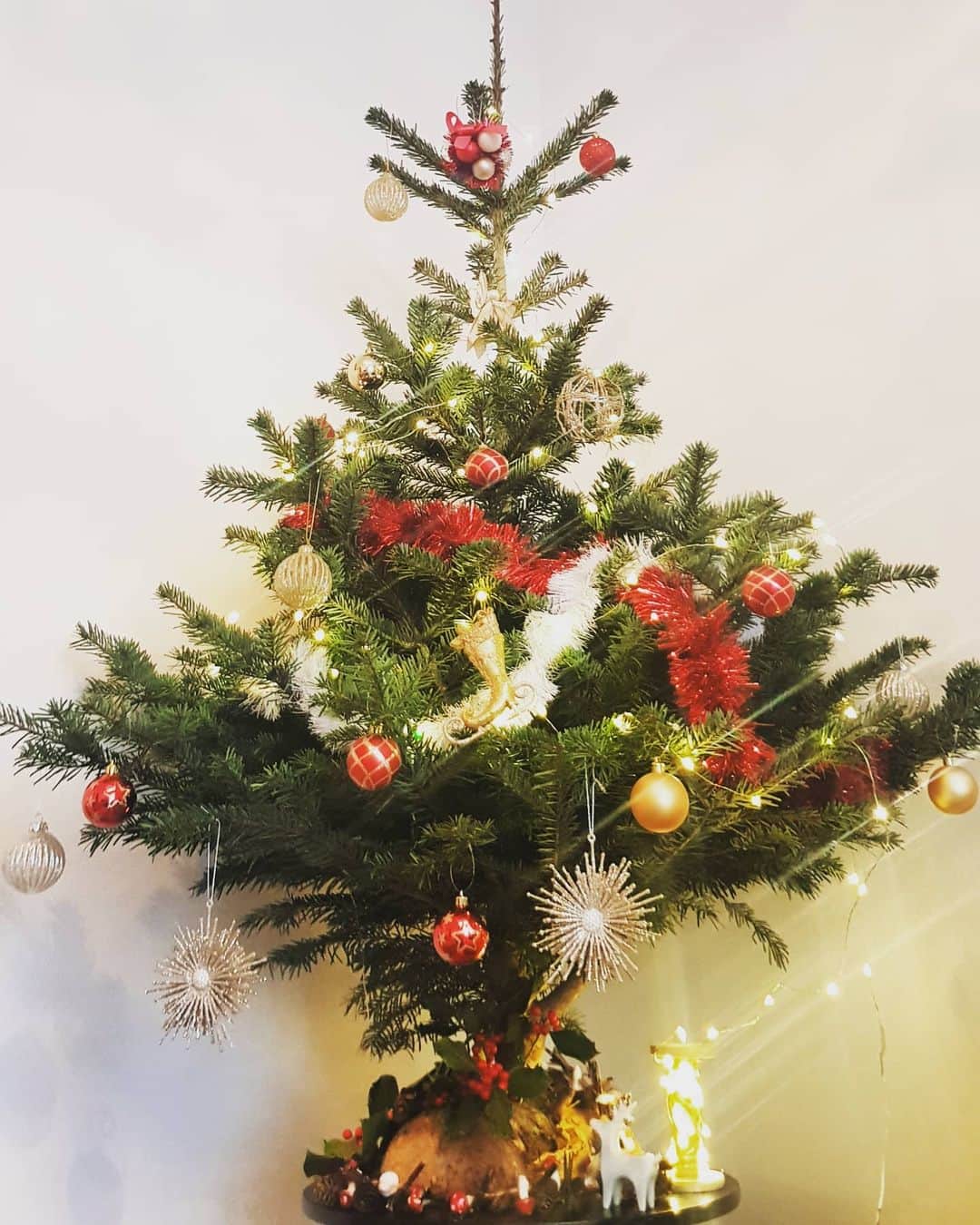 平井絵巳さんのインスタグラム写真 - (平井絵巳Instagram)「🎅🏻2020年Xmasデコレーション🎄  今年のフランスのクリスマスはクリスマスマーケットもないので、少し寂しい感じなので、、お家のいたるところをクリスマスモードにしてみました🎁🎅🏻💕🎄⭐ 集めているスケート靴たちも、ちらほらー⛸️💕  #sapin#decoration#noel2020#france#lyon」12月20日 17時58分 - emiiiii_hra