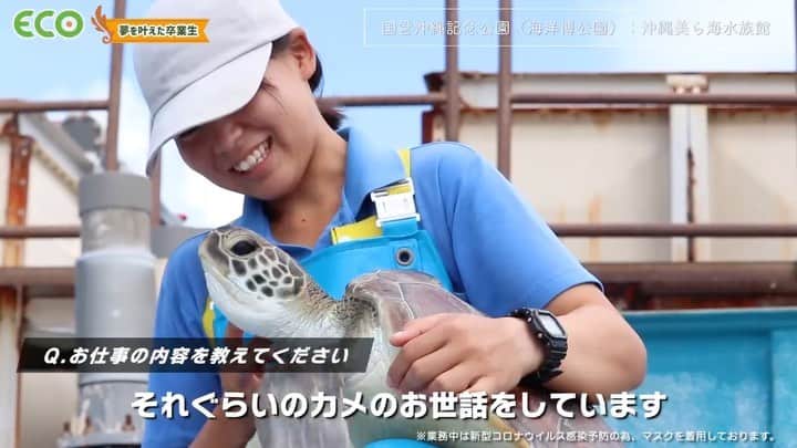 【公式】福岡ECO動物海洋専門学校のインスタグラム：「福岡ECOを卒業後、国営沖縄記念公園(海洋博公園)沖縄美ら海水族館で活躍する卒業生たちにインタビュー！🐬  続きは福岡ECO 公式YouTubeでご覧ください✨ #福岡eco #福岡eco動物海洋専門学校 #水族館 #ウミガメ #深海魚 #イルカ #水族館飼育員 #ドルフィントレーナー #沖縄美ら海水族館」