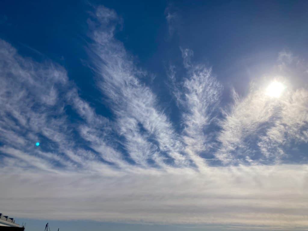 伊藤えみさんのインスタグラム写真 - (伊藤えみInstagram)「今日のめずらしい雲☁️  #空 #雲 #木みたい  #tokyo  #skyphotography  #clouds」12月20日 18時28分 - itoemi1019